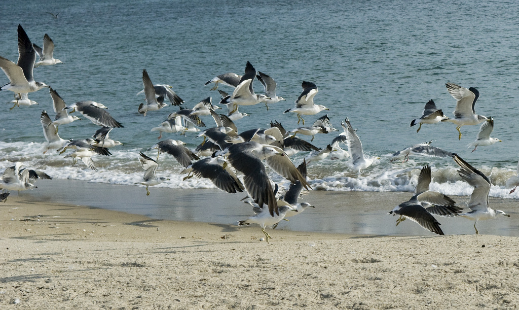 DSC_0158.jpg