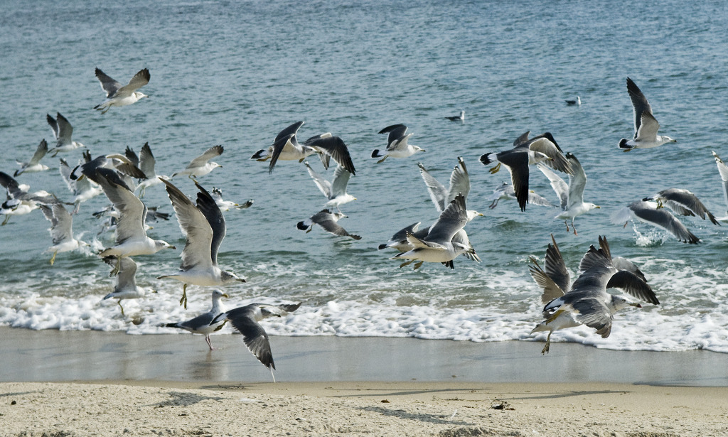 DSC_0159.jpg