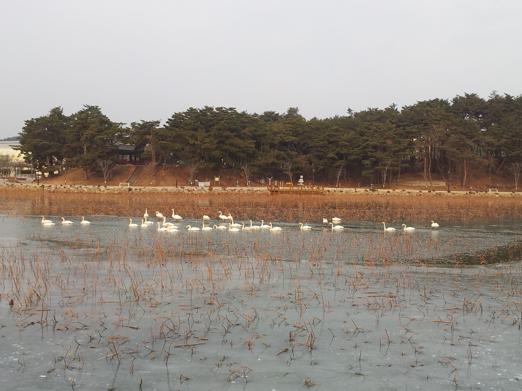 2012-02-04_09_00_12.jpg