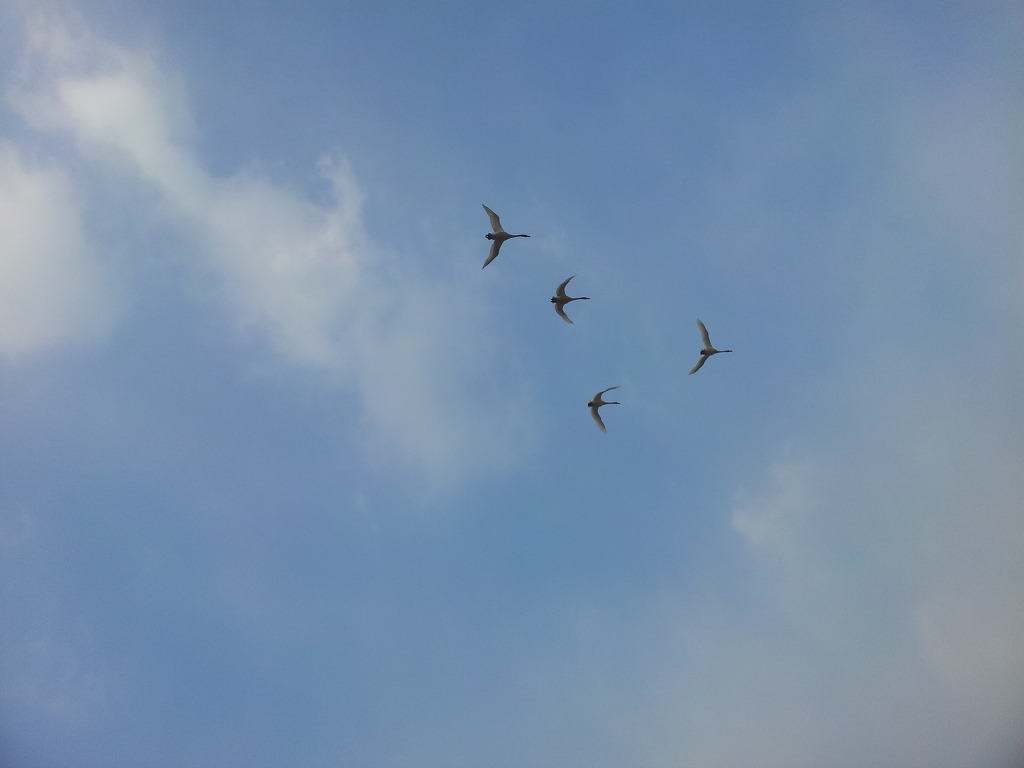 2012-02-04_08_54_32.jpg