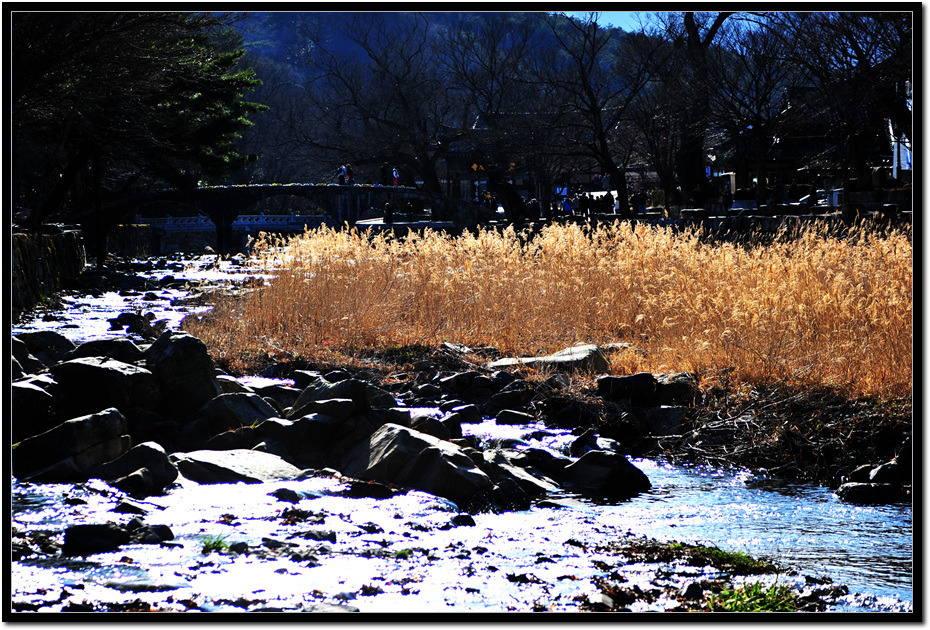 AB0_0196.jpg