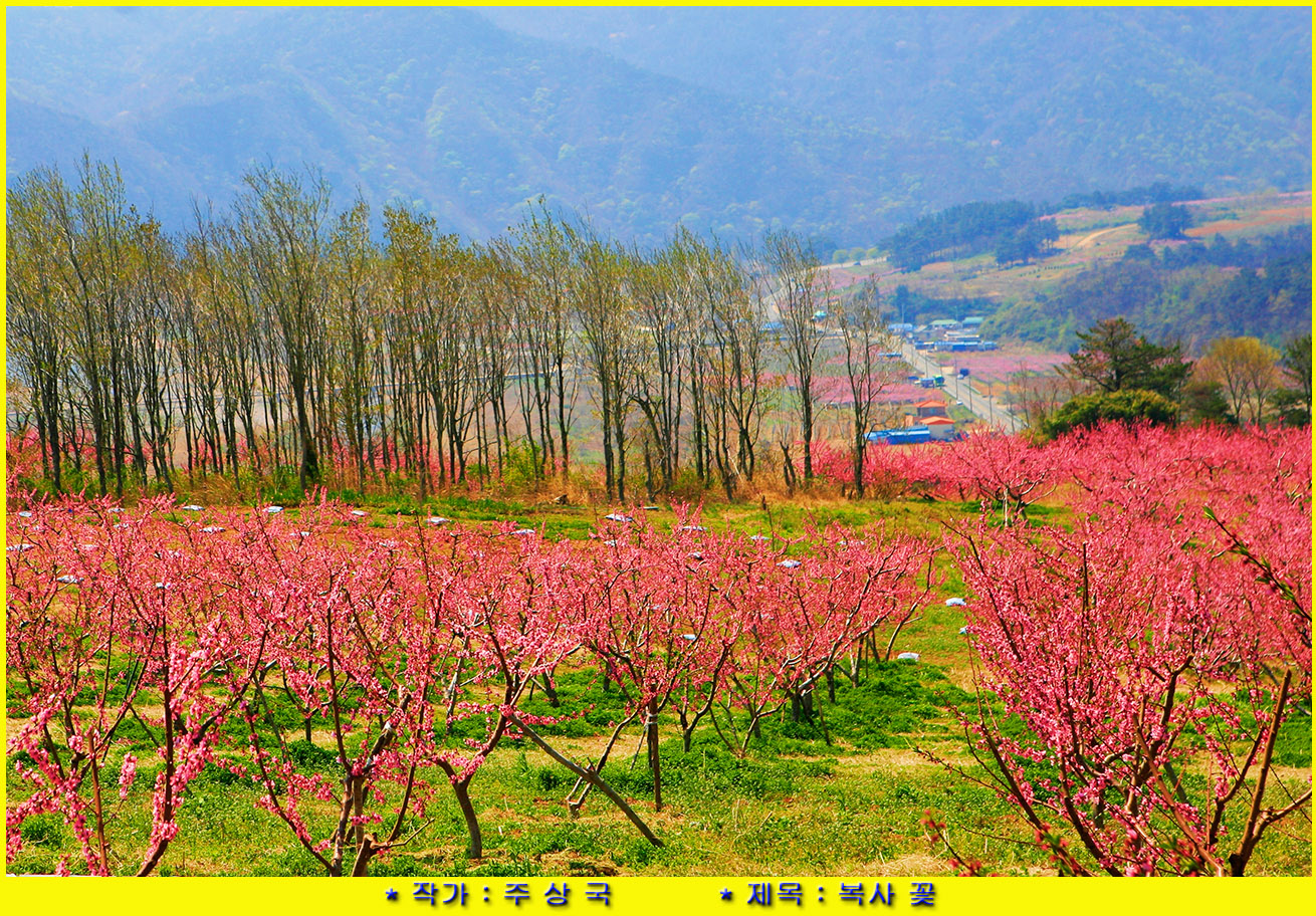 주상국.jpg